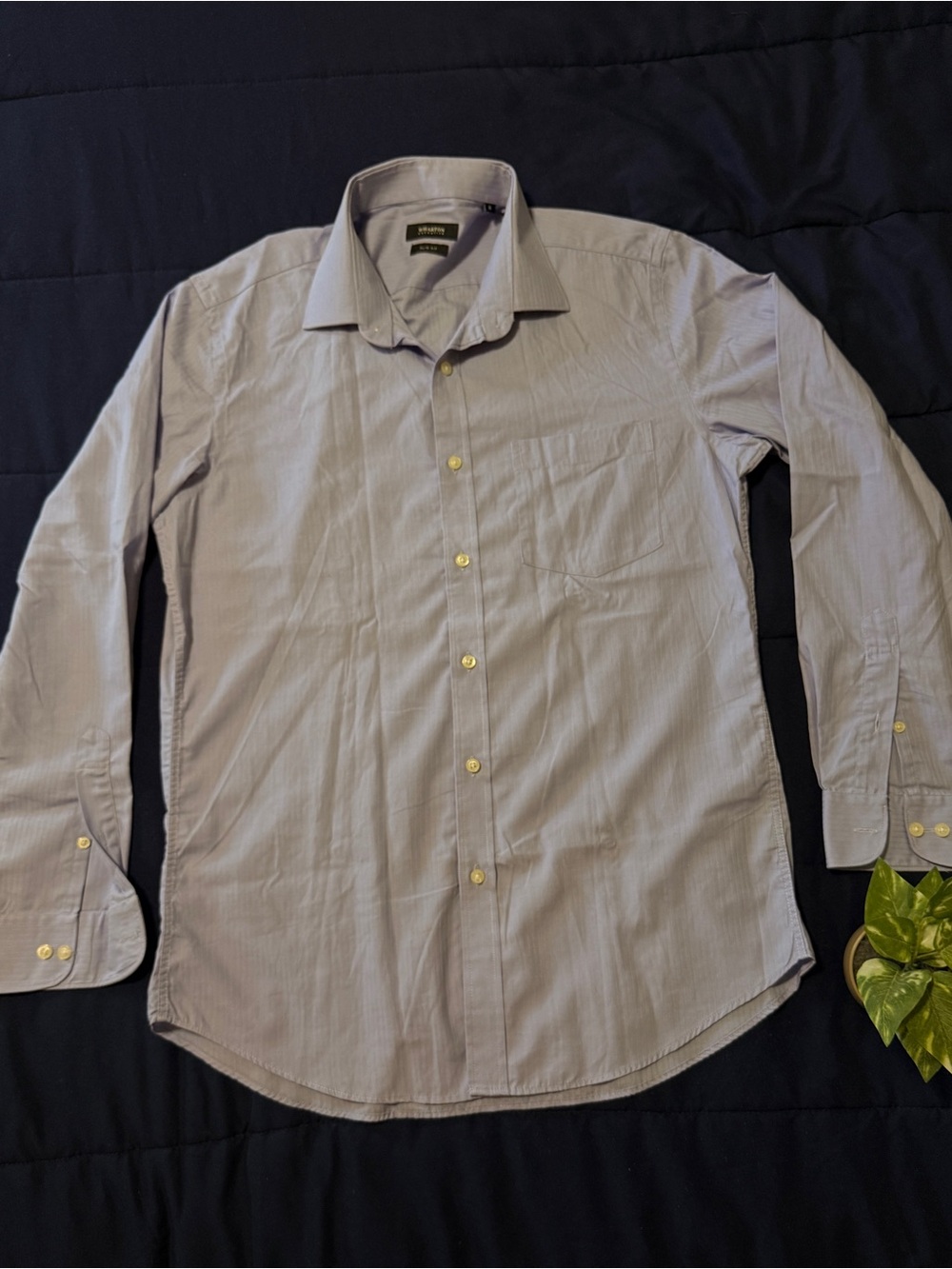 Stafford Men's Light Blue Long-Sleeve Dress Shirt